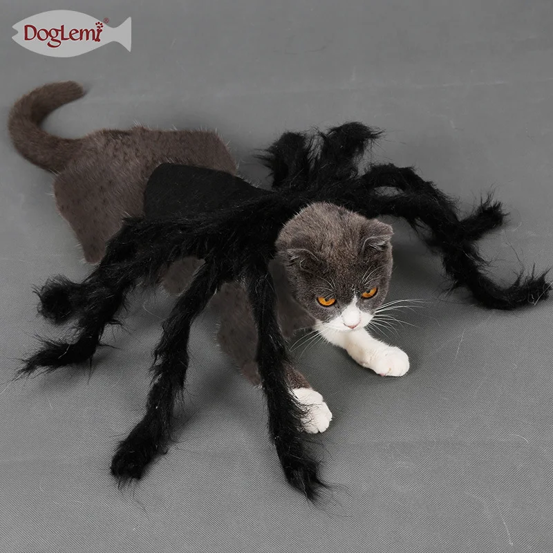 Realistic Spider Pet Clothes for Your Little Companion