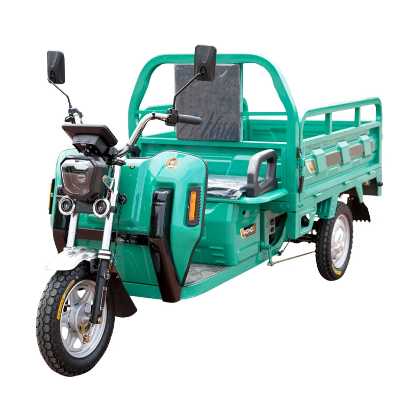 

Manufacturer Customized Big Size 48v Electric Tricycle for Cargo Open Body Type