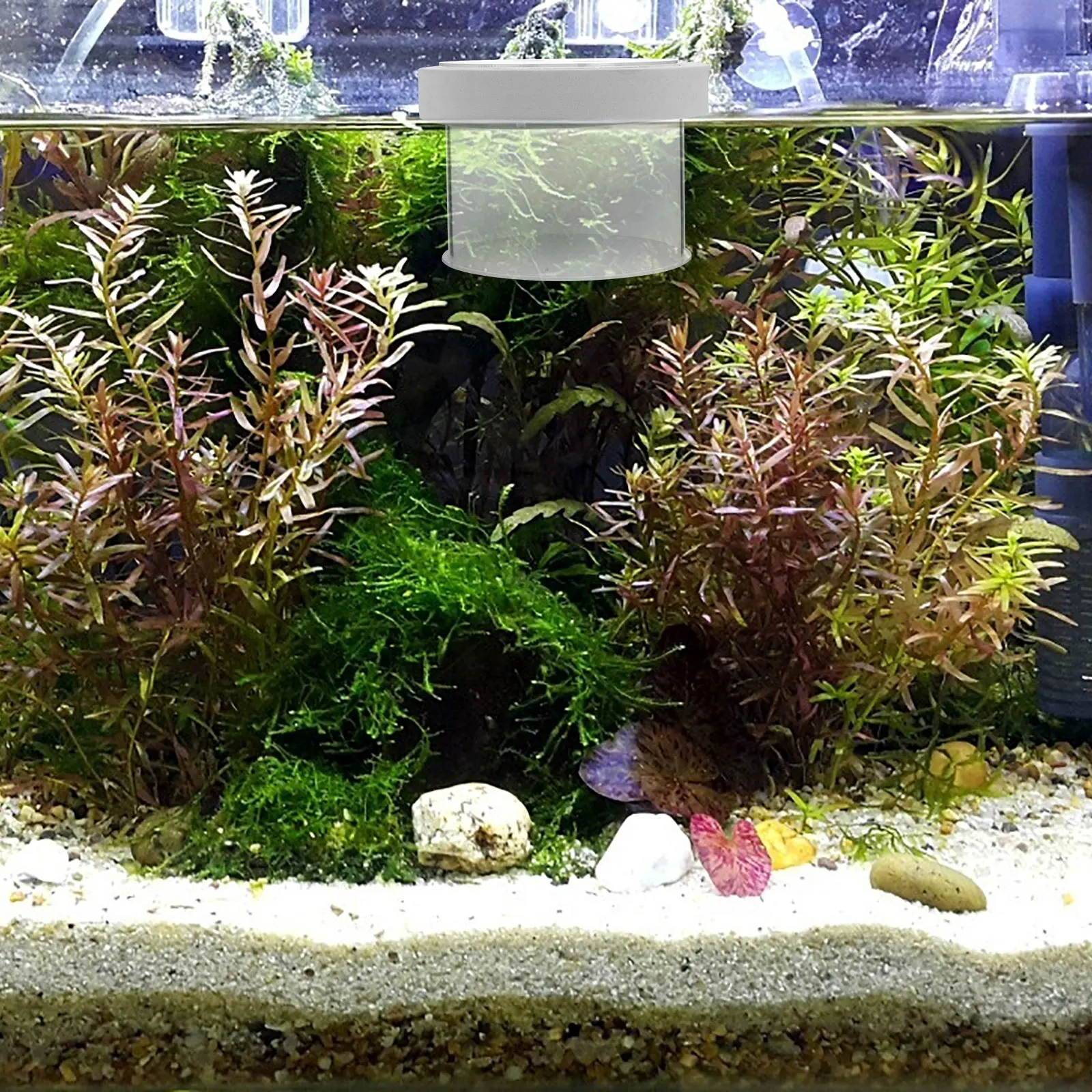 

Fish Tank Isolation Box Acrylic Small Fish Floating Aquarium Breeding Box Hatchery Separator Floating Aquarium