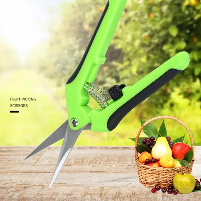 Xiaomi Garden Pruning Shears Stainless Steel Pruner Fruit Picking Secateurs Potted Weed Scissors Straight Elbow Pruning Tools