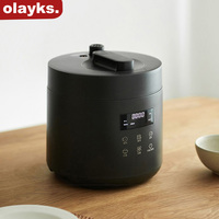 Olayks Electric Pressure Cooker 2.5L Household Rice Cooker For Kitchen 70KPa Stew Meat Bones Cooking Rice Porridge
