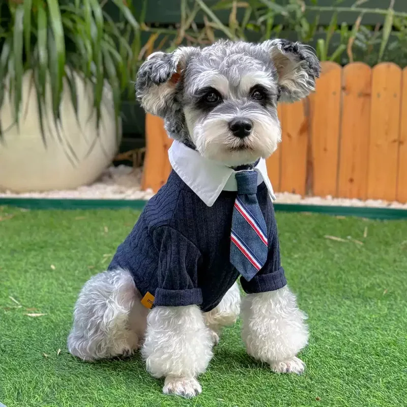 

Winter Dog Shirt + Tie Yorkie Pomeranian Maltese Poodle Bichon Schnauzer Welsh Corgi Shiba Inu Dog Clothes Pet Clothing Apparel