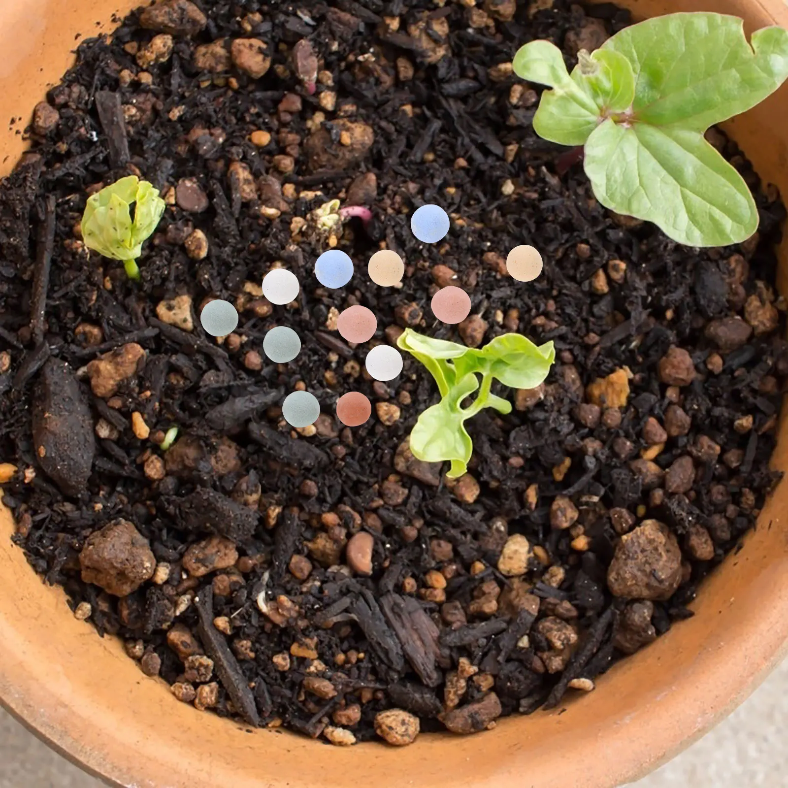 

1 Bag Smooth Round Ceramsite Balls Ideal for Indoor Outdoor Plants Flower Arrangements Home Garden Decoration Clay Pebbles