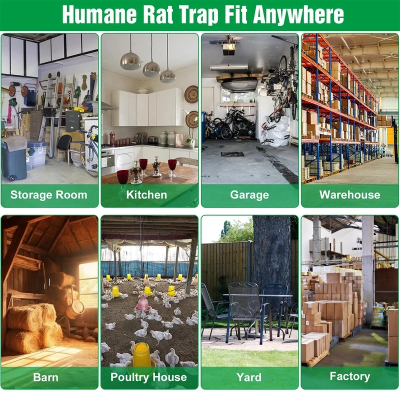 Thumbnail 4 - #7 Top 30 Pest Control Traps Worth Buying In 2026