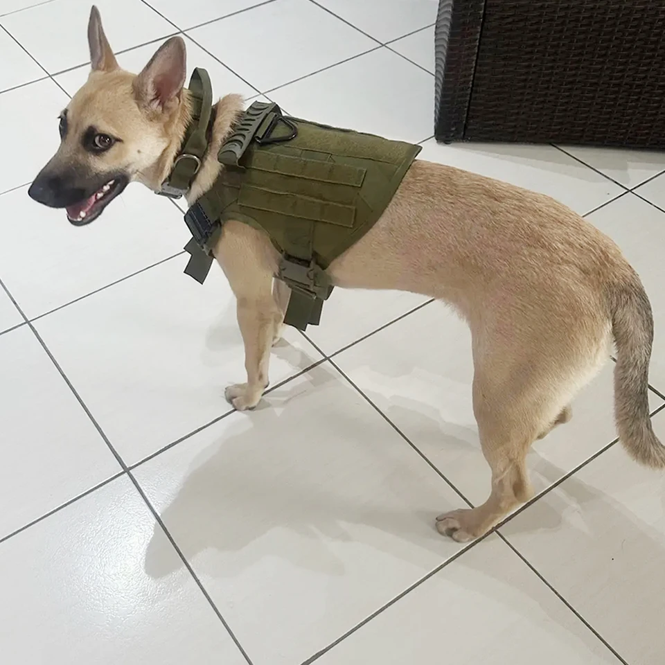 Adjustable Tactical Dog Vest and Collar Set