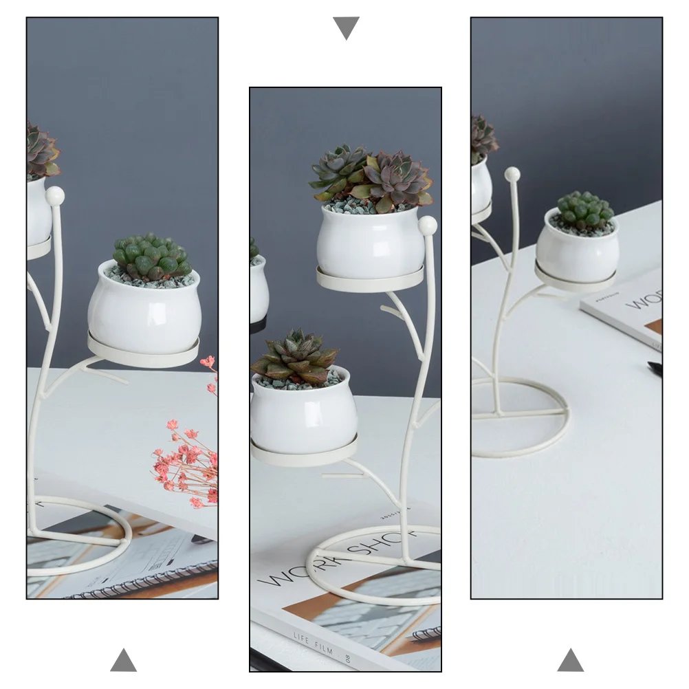 

Succulent Storage Rack Tree Branch Shape Flower Shelf Plant Holder Kit and Flowerpot Potted Simple Style