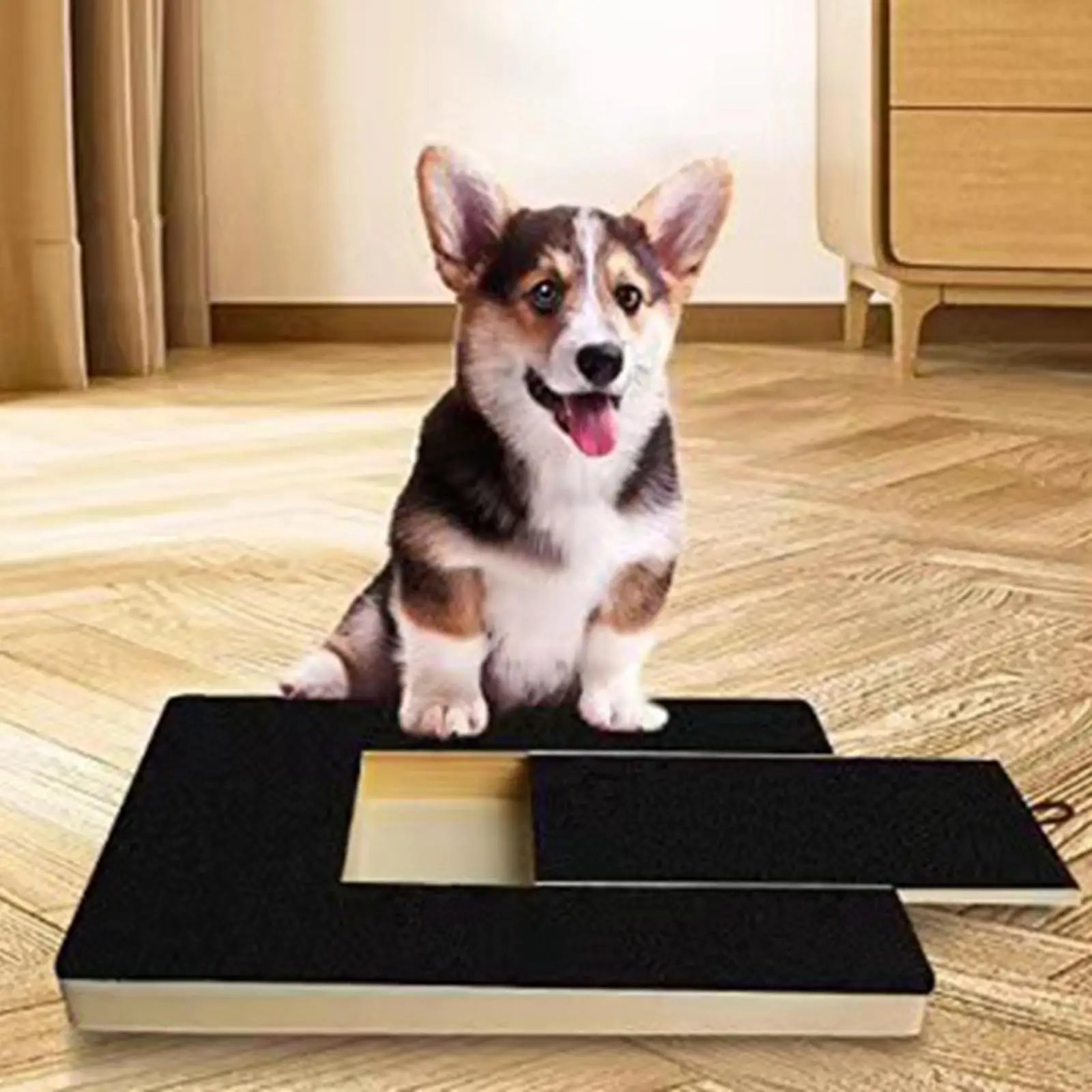 Dog Scratch Pad for Nails Dog Nail File Scratching Board for Dogs Paw Interactive Pet Dog Nail Grinders Relaxing Toy 37cmx22cm