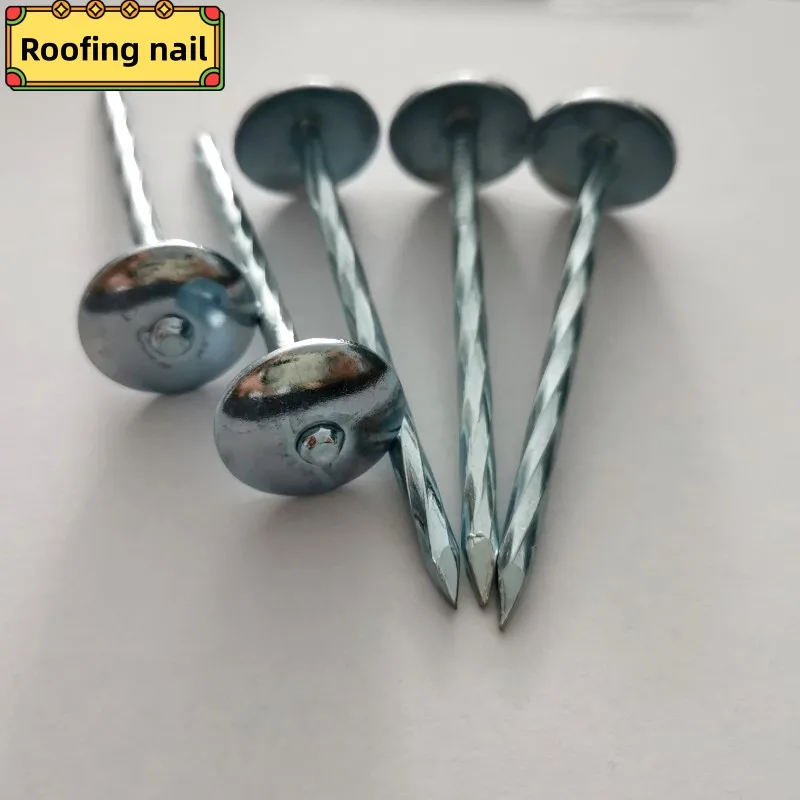 SL asbestos Tile Umbrella Head Roofing Nails Twist Shank Galvanized Wood Nail  Roofing Top Use Big Head Nail L 40/50/65/80/100mm