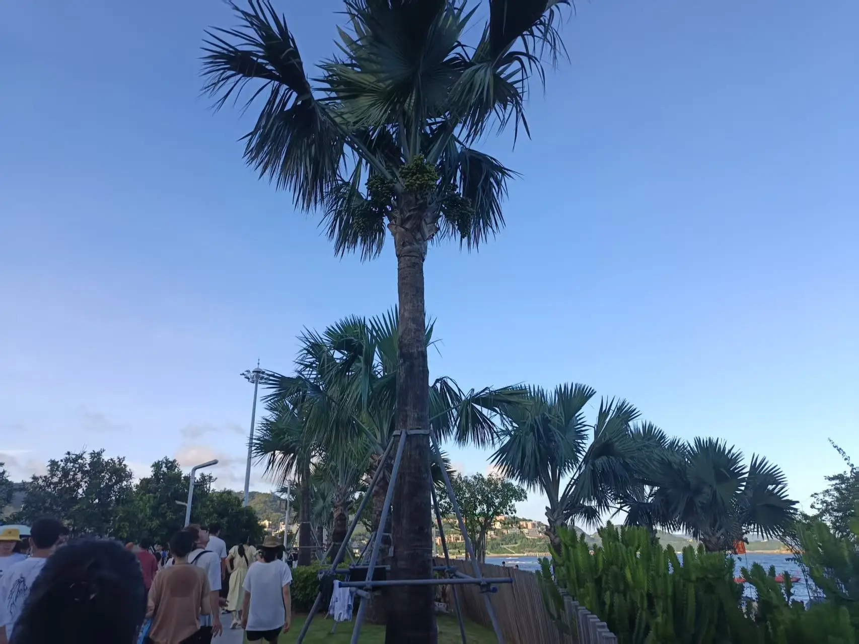 

HGLRC KRATOS Fireproof Lipo Battery Bag Safe Charging Pouch for 2-6S FPV Drone RC Lipo Battery, Storage Case for Tattu Gens Ace,