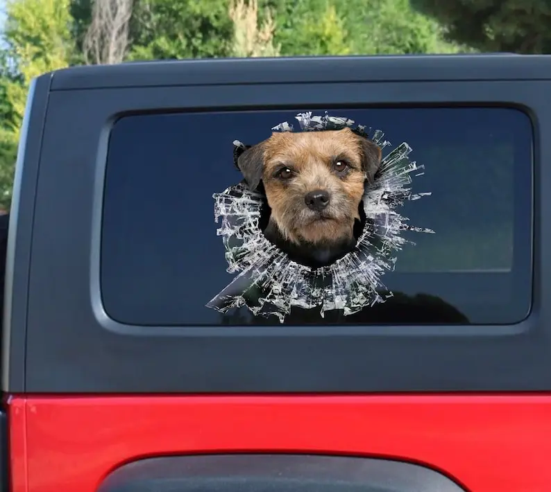 Border terrier window decal, Border terrier car sticker, Border terrier car decal