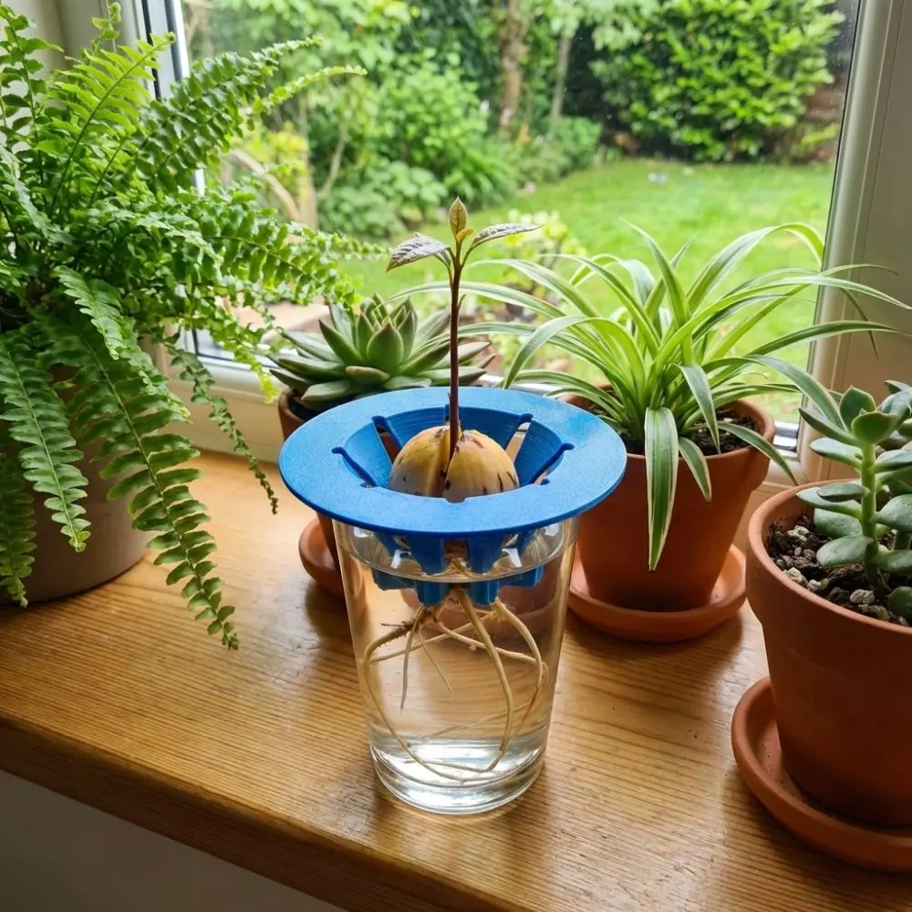 Soil-Free Avocado Planter Plastic Sprouting Setup Seedling Tray Cultivation Device Growing System Hydroponic Stand Home Indoor