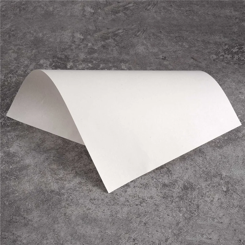 

ZZ-200 Sheets Of Nursery Paper Sprout Vegetable Planting Paper 18 X 26.6Cm, Suitable For Plant Germination Tray
