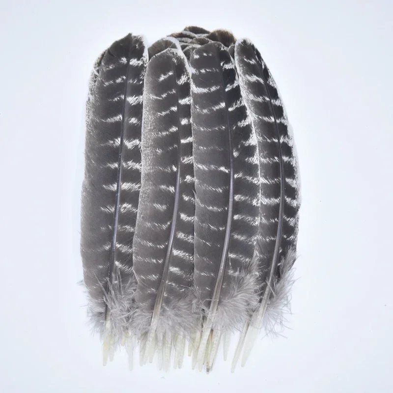 Plumes d'oiseau d'aigle de plumes de dinde naturelles pour l'artisanat, chapeaux de bricolage, accessoires de carnaval, décoration d'Halloween, vente en gros