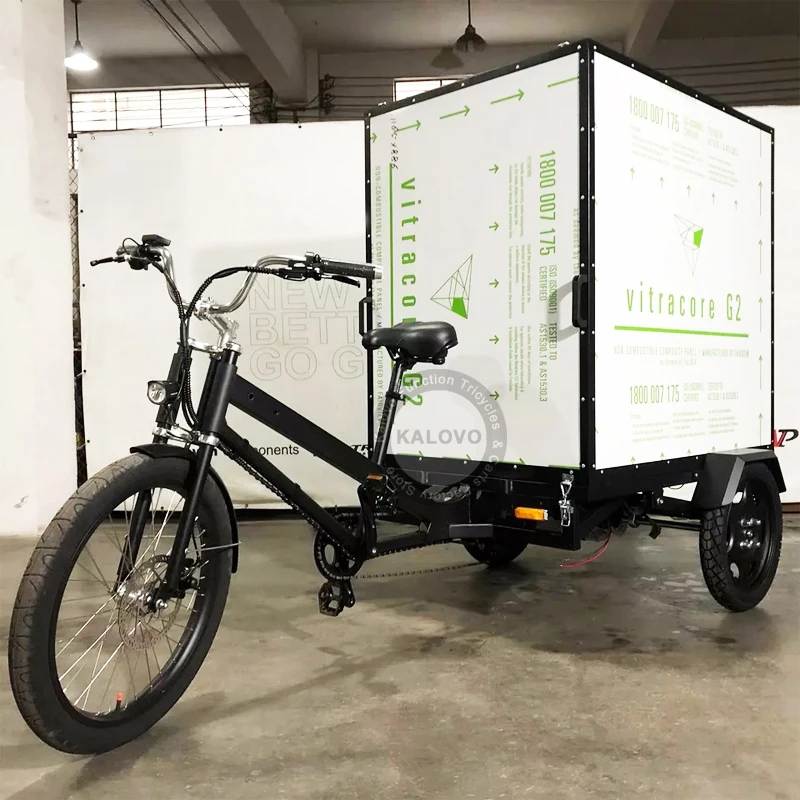 Three Wheel Pedal and Cargo Tricycle Rear Box Powerful Delivery Bike For Transport Goods Hydraulic Brake Cargo Truck