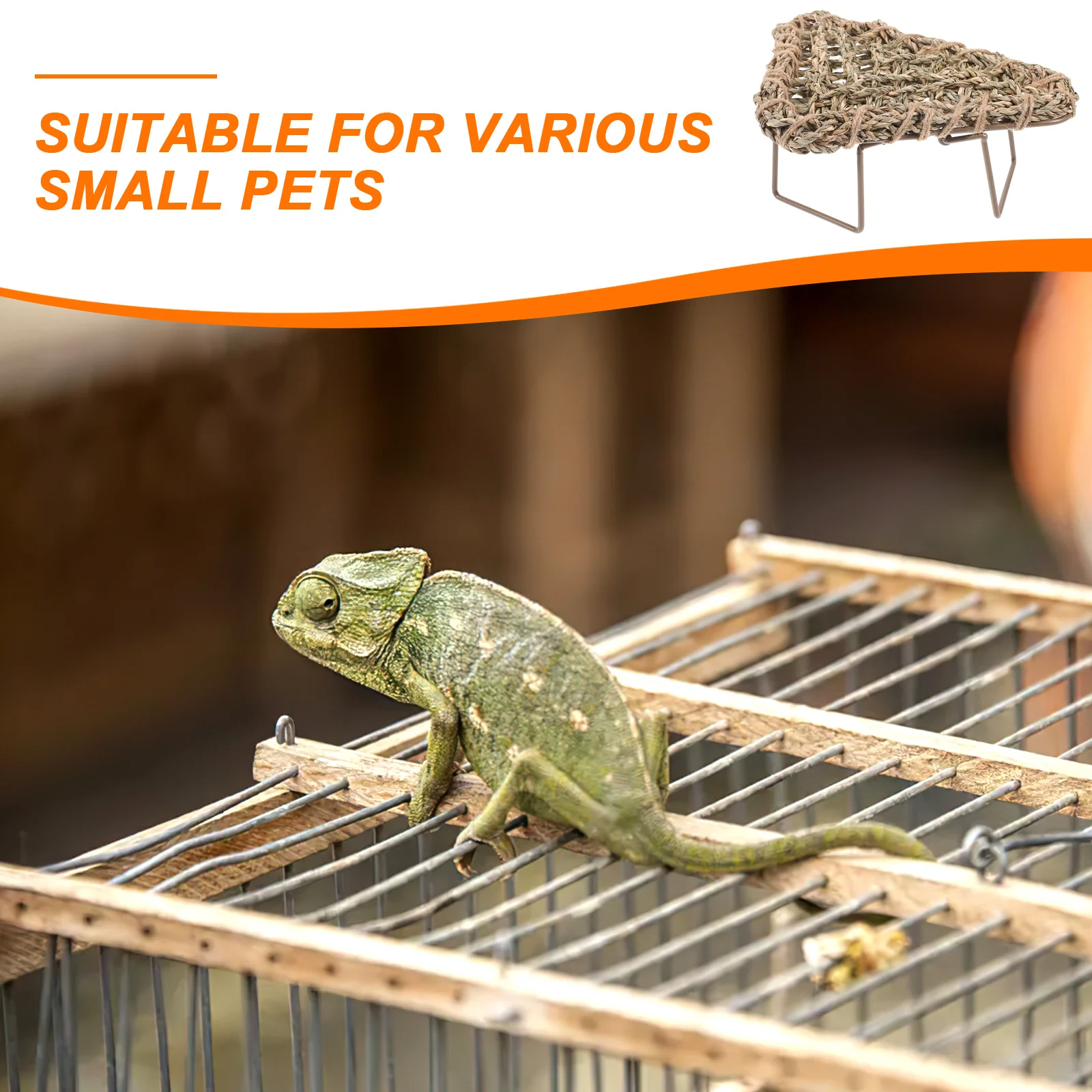 

Lizard Bed Pet Beds Lounger Bearded Dragon Cage Accessories Reptiles Animal Hammock Enclosure Straw for Dragons