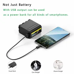 Proctty-Debate with USB load output, 10800mAh, NP-F980, NP-F970, NPF960, NP F970, for Sony PLM-100, CCD-TRV35, MVC-FD91, MC1500C 12 Main Sales Battery NPF970 - №2