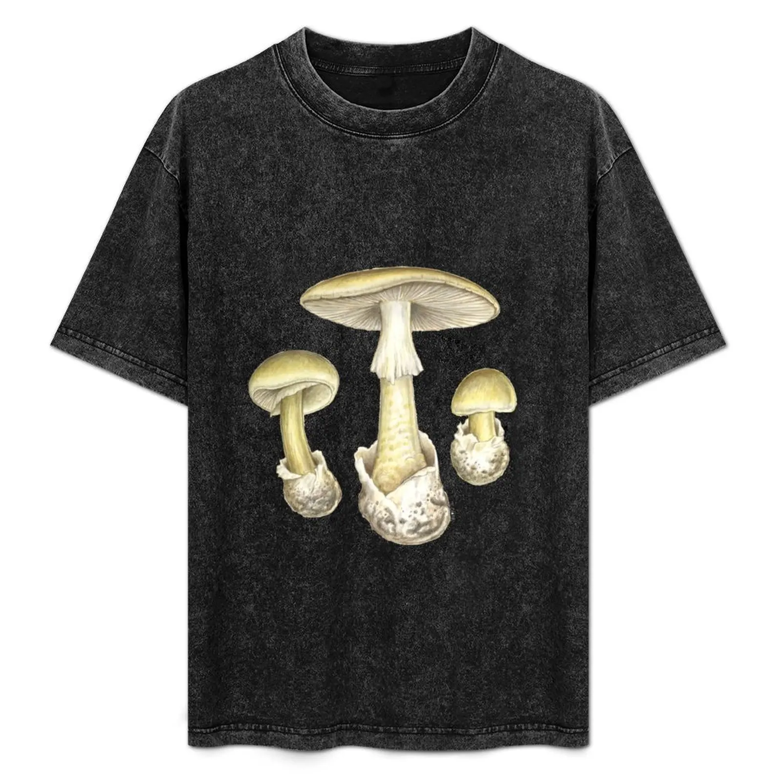 Death Cap Mushroom (Amanita phalloides) T-Shirt anime figures quick drying tops sports fans Men's clothing