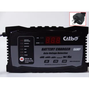 

6 В постоянного тока/12 В постоянного тока/24 В постоянного тока Интеллектуальное зарядное устройство для обслуживания различных типов свинцово-кислотных аккумуляторов