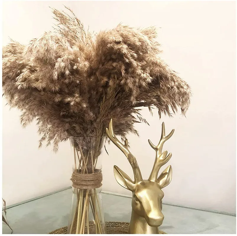 Natural Dried Pampas Grass Reed Bunch Colorful Flowers Beautiful  Accessories Christmas Home Wedding Gift Decoration Phragmites