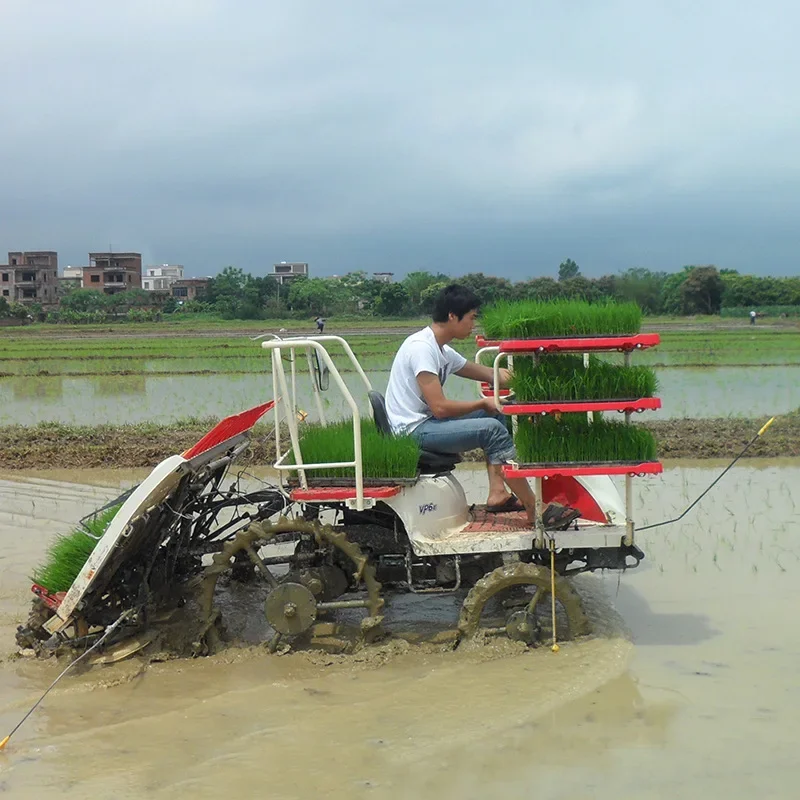 4 lines/6 lines Hand-held rice transplanter Automatic rice transplanter