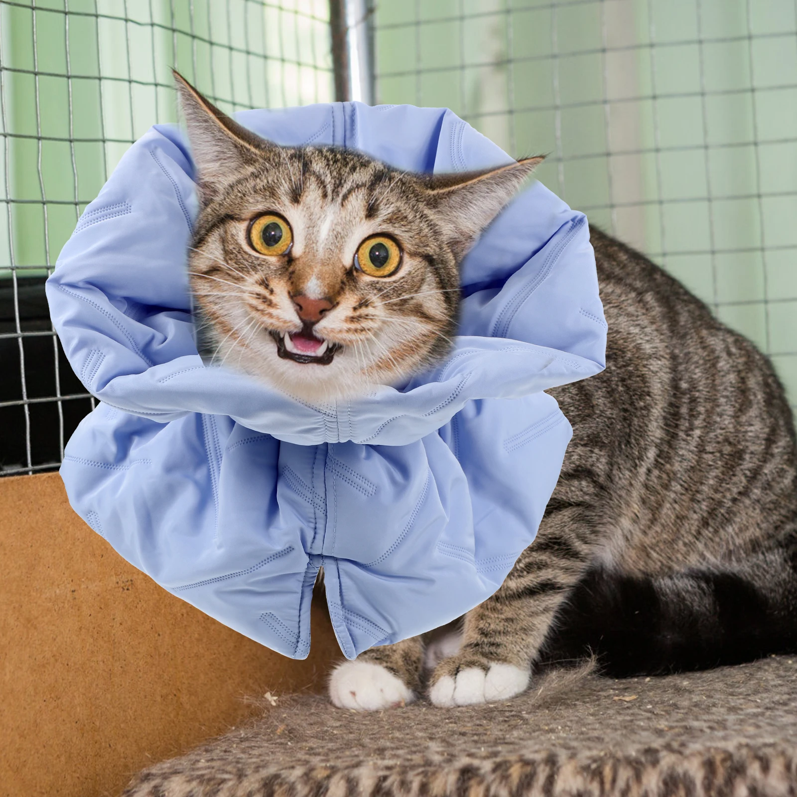 

Adjustable Cat Elizabeth Collar Recovery Donut Cone Surgical Light Blue Polyester Easy Wear Durable Breathable Pet Gift for Dogs