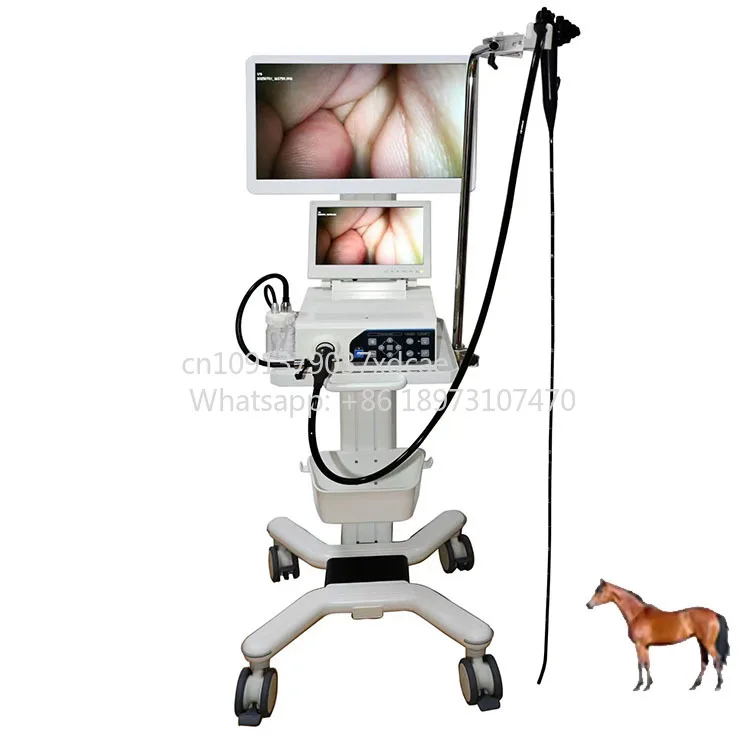 2026 New Digital Veterinary Video Endoscopy System HD 1080P With Multiple Scopes For Pet Hospital