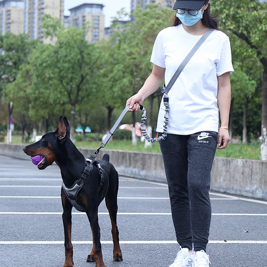 Tali anjing dapat ditarik bebas genggam untuk berlari pegangan ganda tali elastis reflektif tali anjing besar persediaan hewan peliharaan