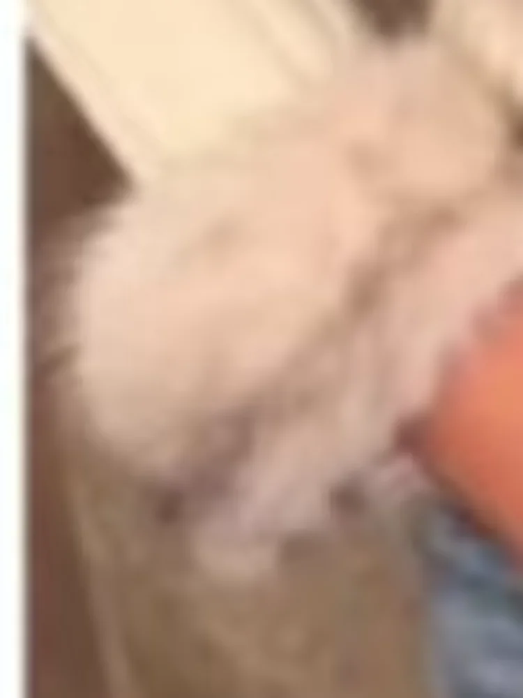 

Шикарное вязаное пальто из искусственного меха в стиле пэчворк, женское короткое пальто на молнии с лацканами и длинными рукавами, женский модный осенне-зимний кардиган 2023 г.