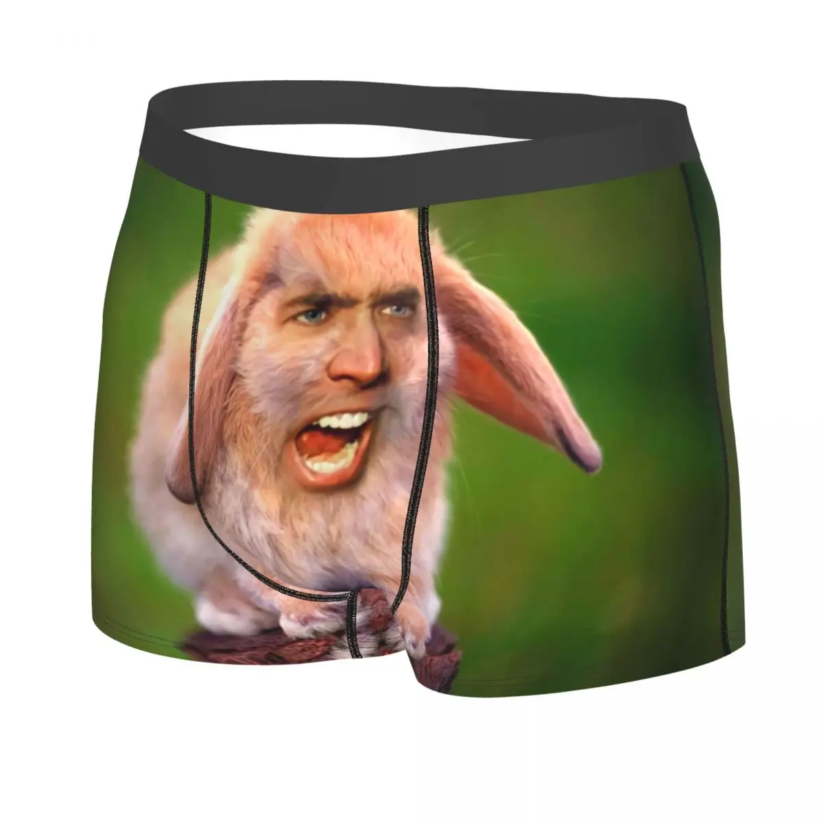 Male Fashion Funny Nicolas Cage Rabbit Meme Underwear Boxer Briefs Soft Shorts Panties Underpants