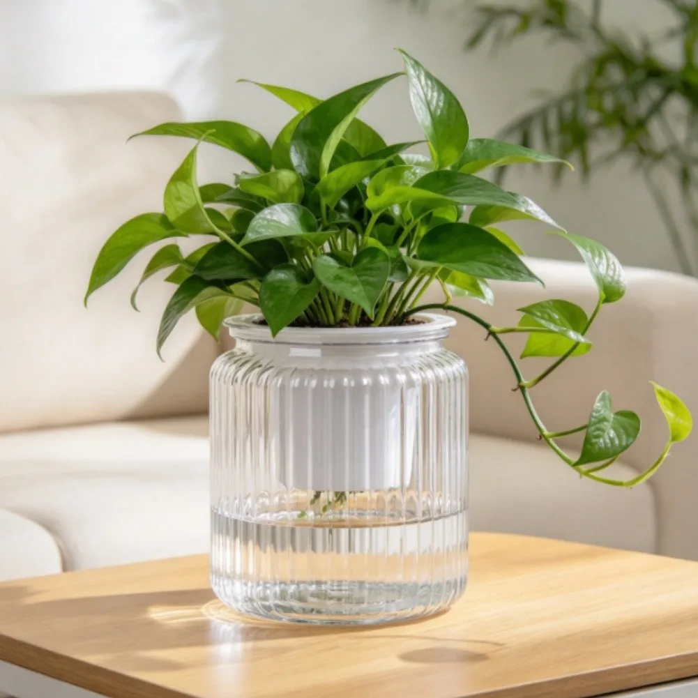 Transparent Self Watering Plant Pot Set of 2 with Dual Layer System and Visible Water Indicator for Balanced Plant Hydration