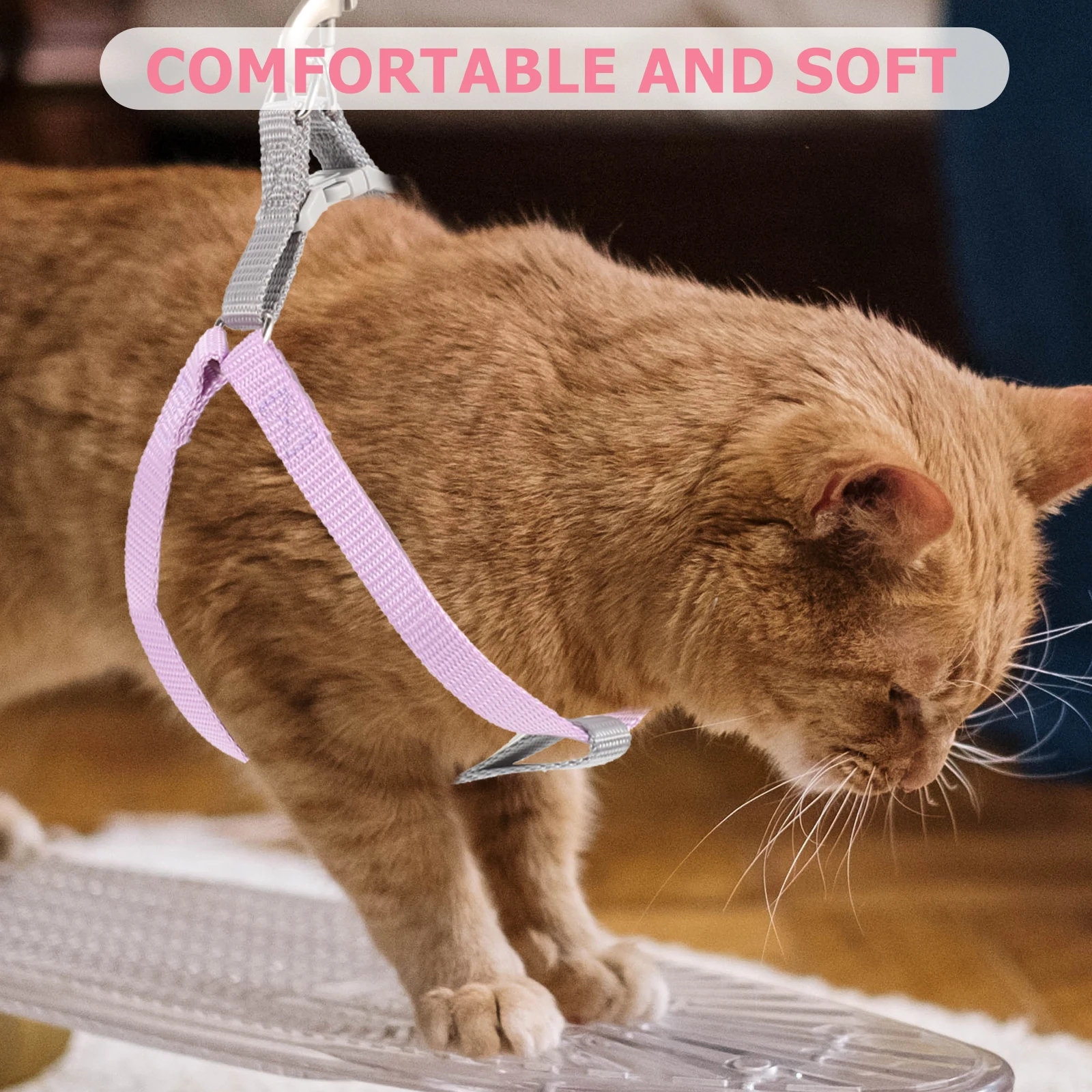 

1 set 1 Set Cat Escape Proof Pet Vest Outdoor Walking Leash Kitten Small Large Cats Durable Adjustable Fashionable Color Leash