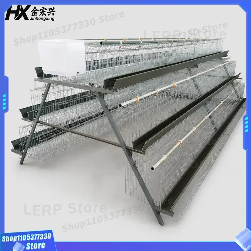 Automatic Layer Chicken Cage System with Egg Collection Belt Poultry Farming Equipment for Broiler and Hen House Breeding
