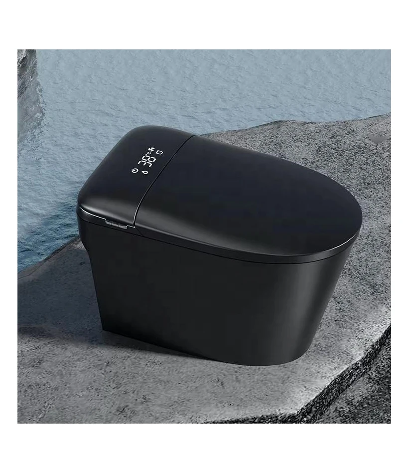 

Sanitary Ware Black Automatically One-piece Toilet Intelligent Toilet Black Smart WC Toilet With Bidet Watermark Certificate