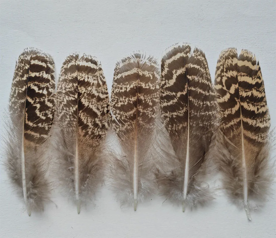 100Pcs/lot! 4-6inches 10-15cm long Speckled/Barred/Striped Peacock Feathers- Fly Tying, Jewelry,Wedding