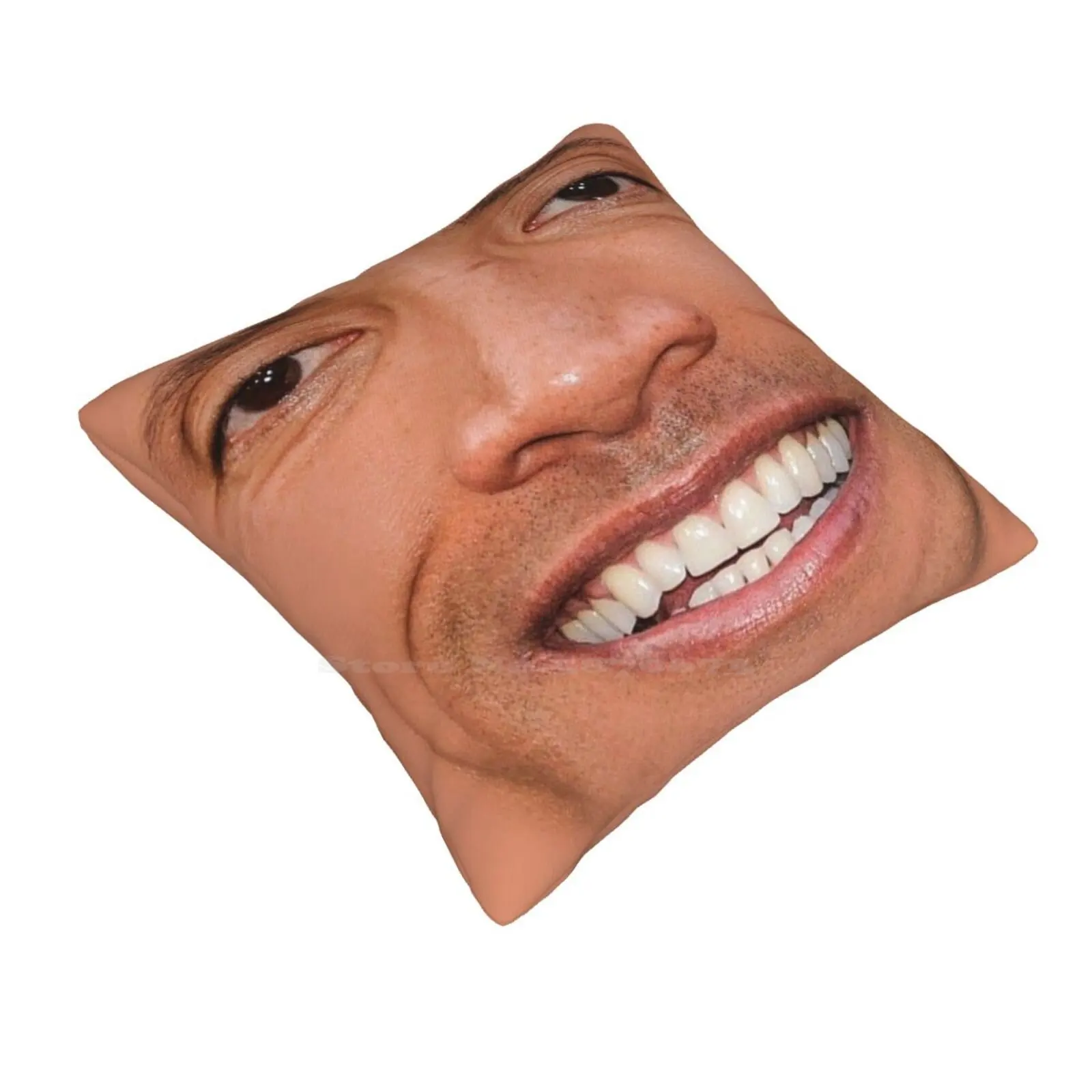 Dwayne Pillows Case Bedroom Home Decoration Dwayne Johnson Wrestling Wrestler Fighter Fighting Adult Swim Funny Memes Trendy