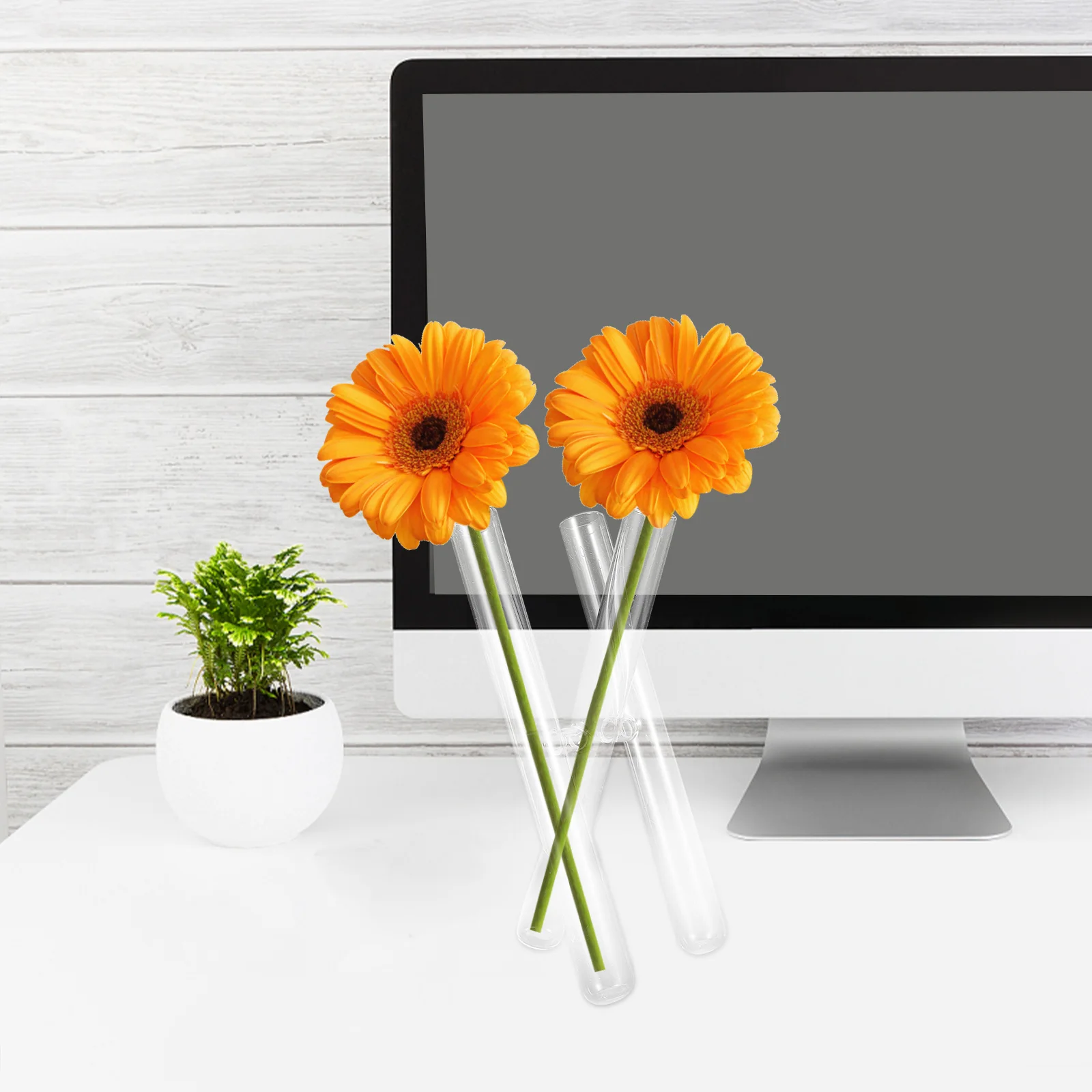 

Glass Test Tube Vase Clear Transparent Bud Vase Decorative Flower Holder for Home Decor Living Room Bedroom Office Party Display