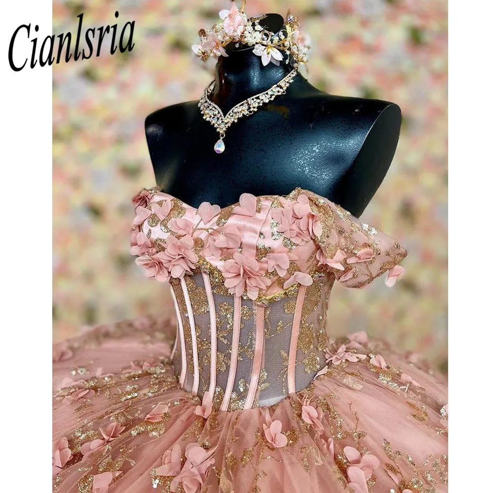 Sparkly Off The Shoulder Corset Quinceanera Vestidos de Baile 3D Flores Lace Sweet 15 Vestidos De XV Años