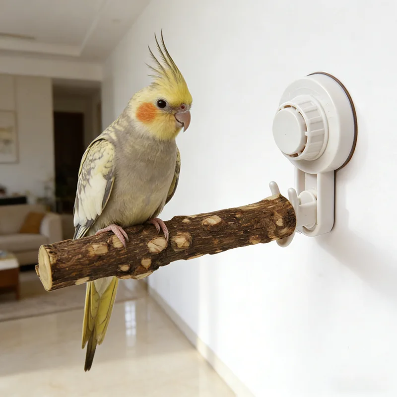 Parrot Stand with Suction Cup Molar Claw Wood Mill Mouth Stand with Joint Dung Disc Adsorption window Car Habitat for Bird - view 2