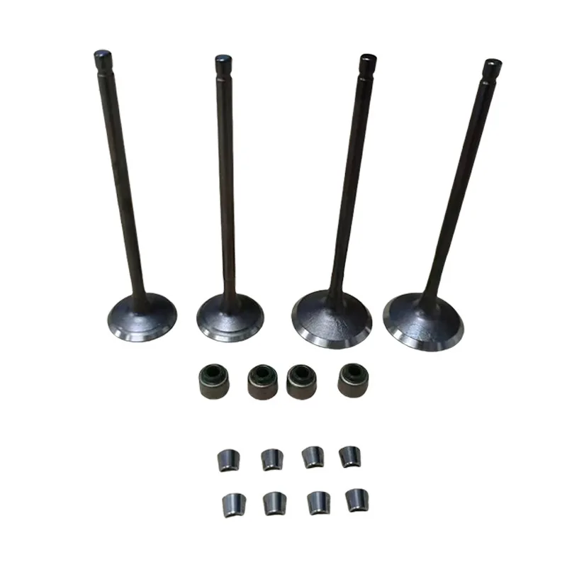 Las válvulas de la motocicleta NS200 son compatibles con BAJAJ PULSAR 200NS, NS200, AS200, Rouser 200.