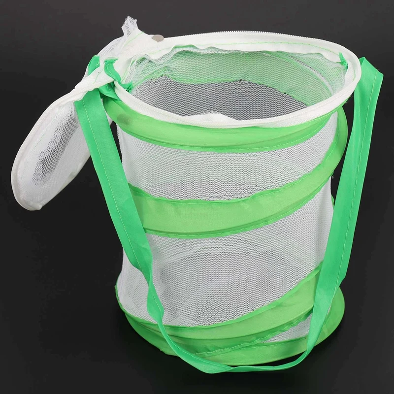 3X tongkat Mantis kecil, kandang kupu-kupu kupu-kupu