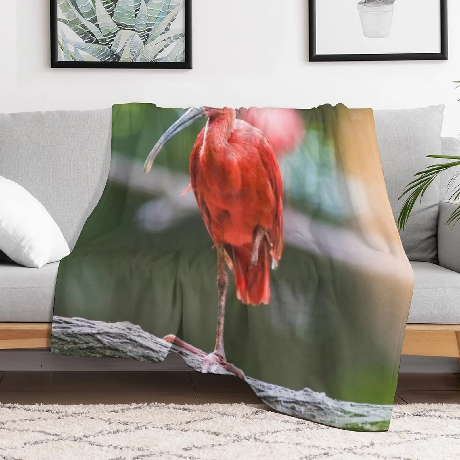 Tropical Scarlet Ibis Throw Blanket Blankets Sofas Of Decoration Plaid on the sofa Blankets