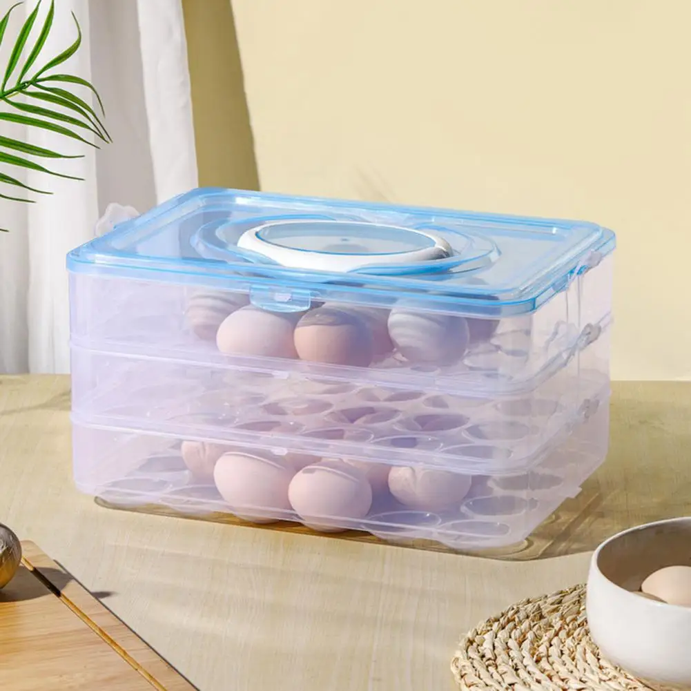 Refrigerator Egg Organizer Transparent 24-grid Egg Storage Box with Lid Handle Capacity Dustproof Container for Kitchen Fridge