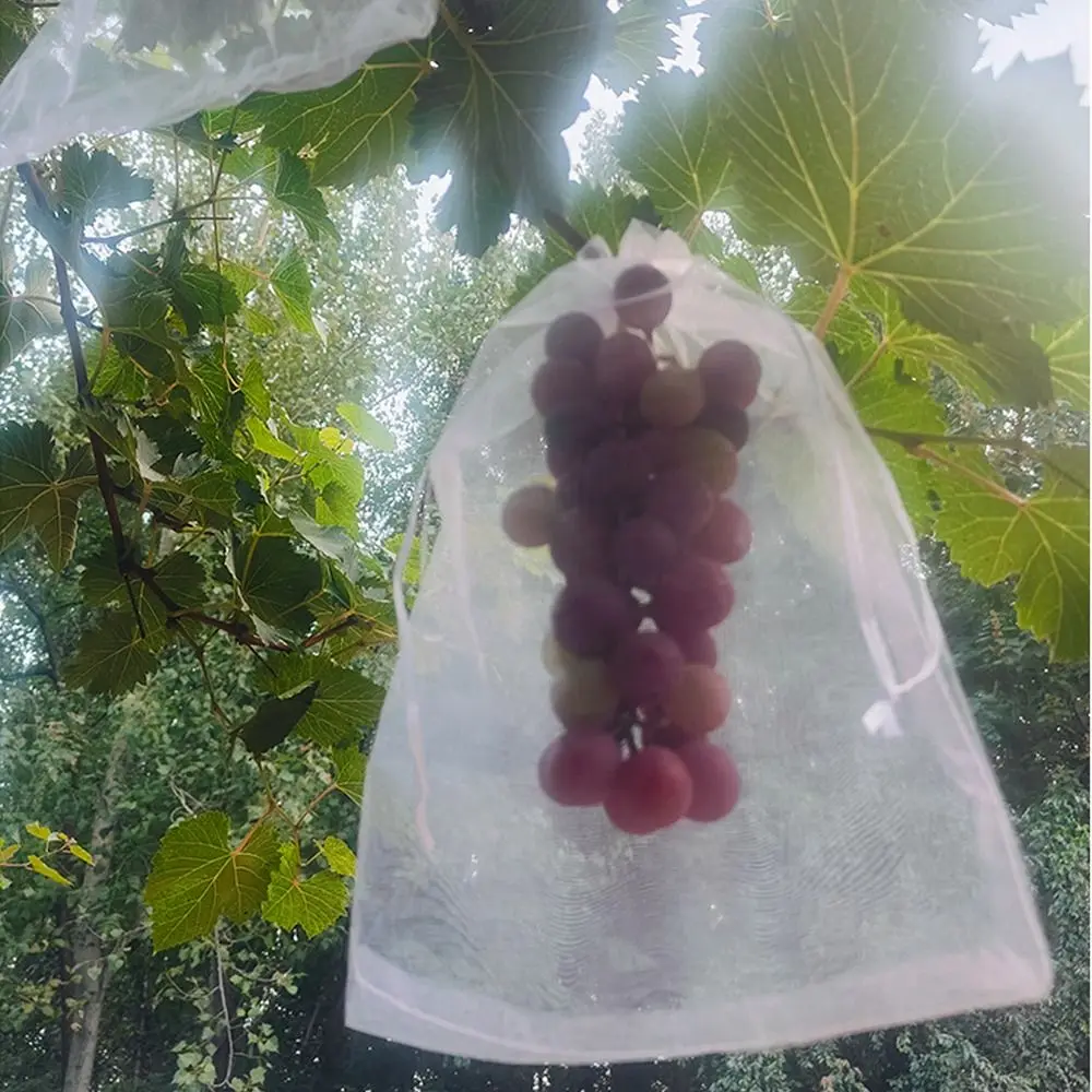 100pcs Mesh Grapes Fruit Grow Bags Breathable Generic Plant Grow Bag White Grape Protection Cover For Pest Control Anti-Bird view 5