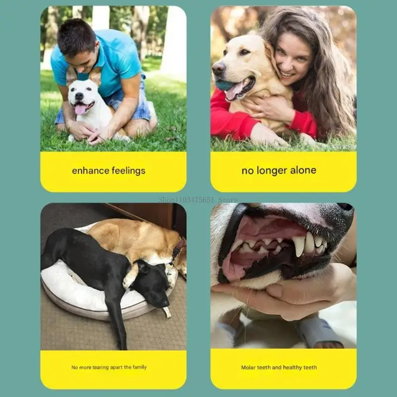 Dog Chew Toy with Builtin Squeaker for Curiosity Stimulation and Energy Releasing for Indoor Outdoor