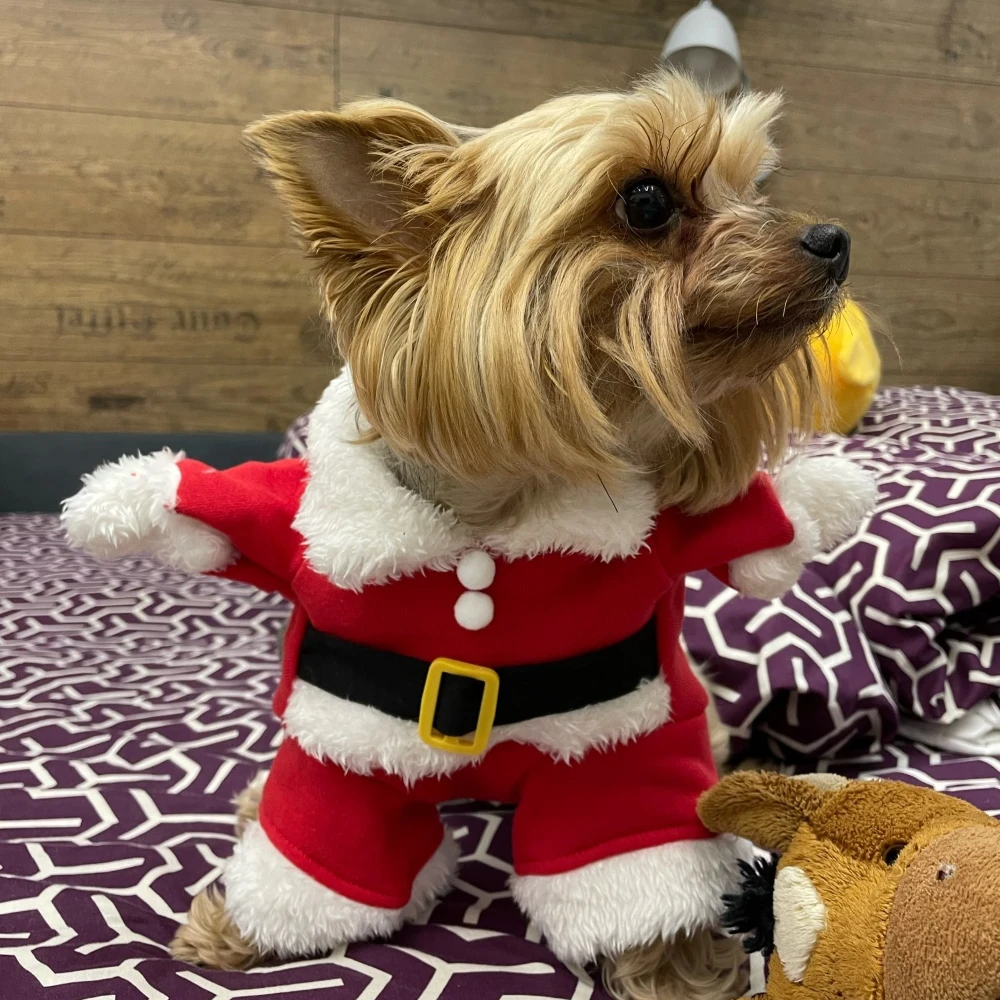 Winter Pet Dog Jacket Coat For Small Medium Dogs Cat Christmas Puppy Party Dressed Up Costume Cute Clothing French Bulldog Pug