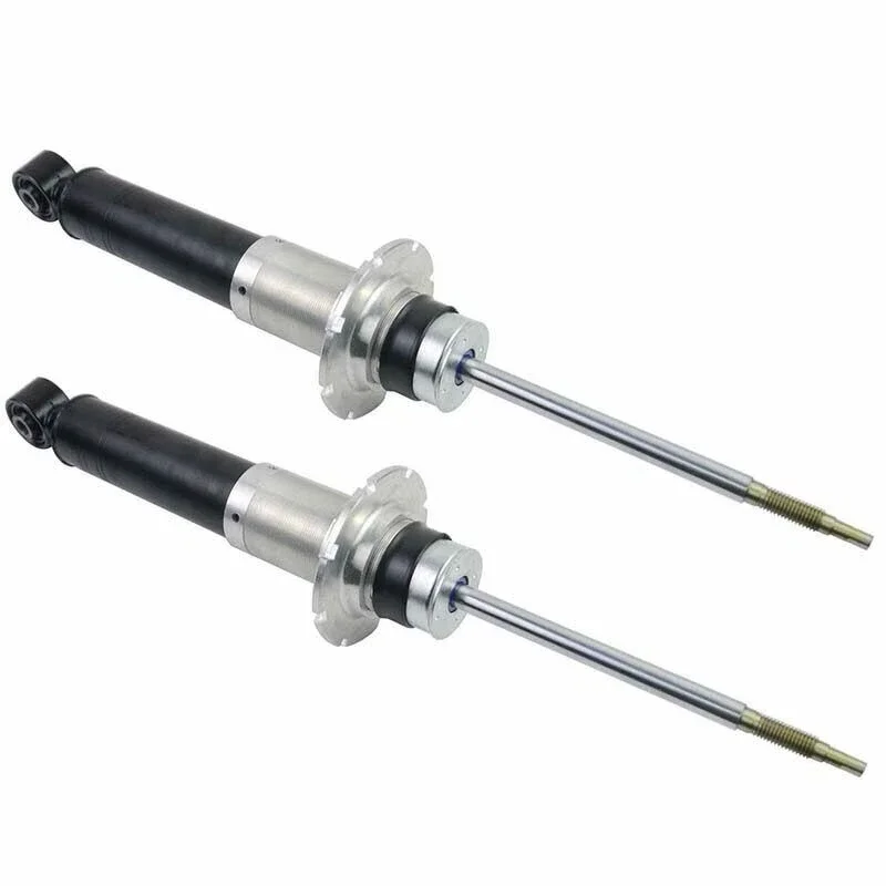 SKYLINE 2x Rear Left Right Air Shock Absorber Magnetic For Ferrari California 2008-2014 view 4