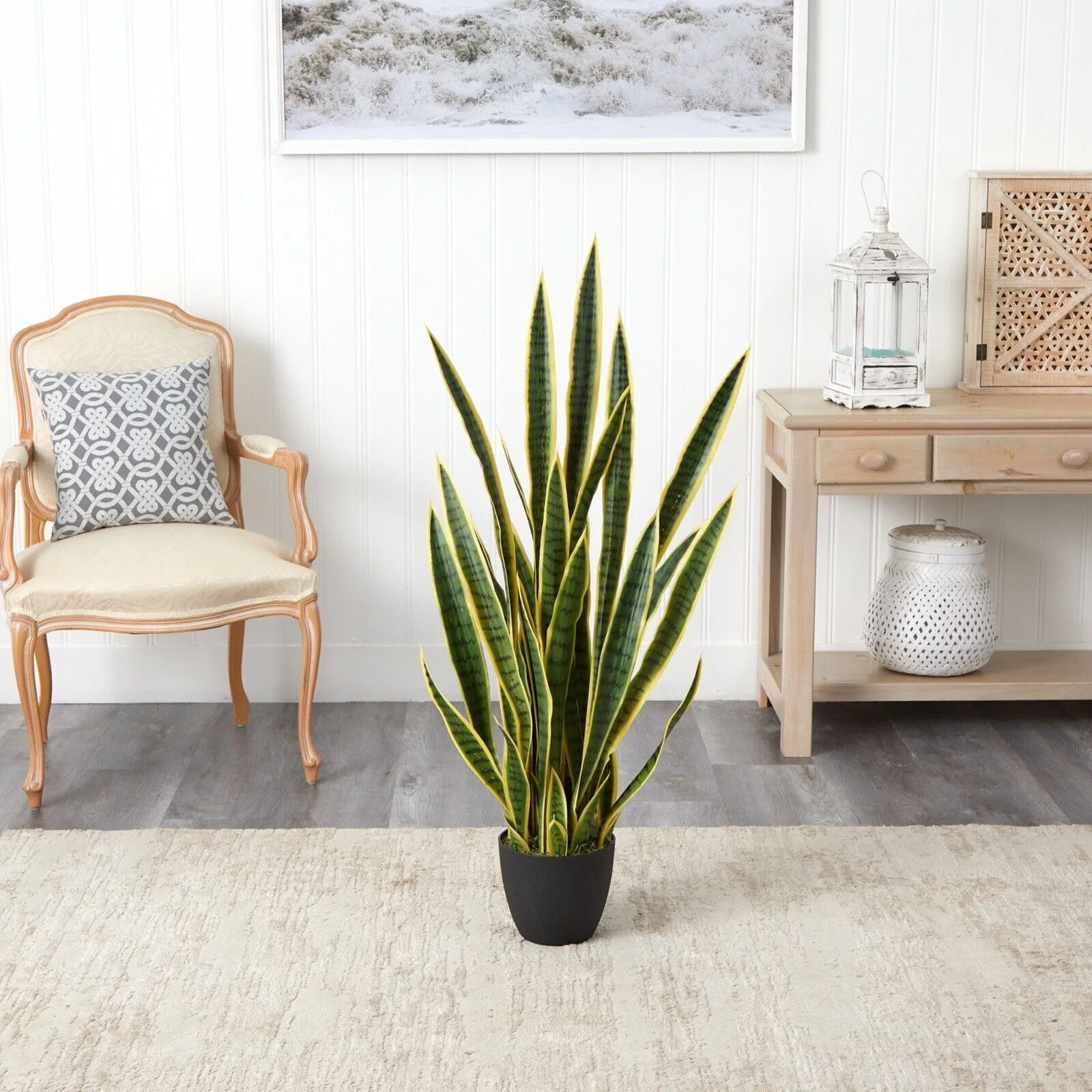 Nekünk 4 Láb sansevieria Kígyók Mű- növényi Ibolyántúli (indoor/outdoor) dekorációs