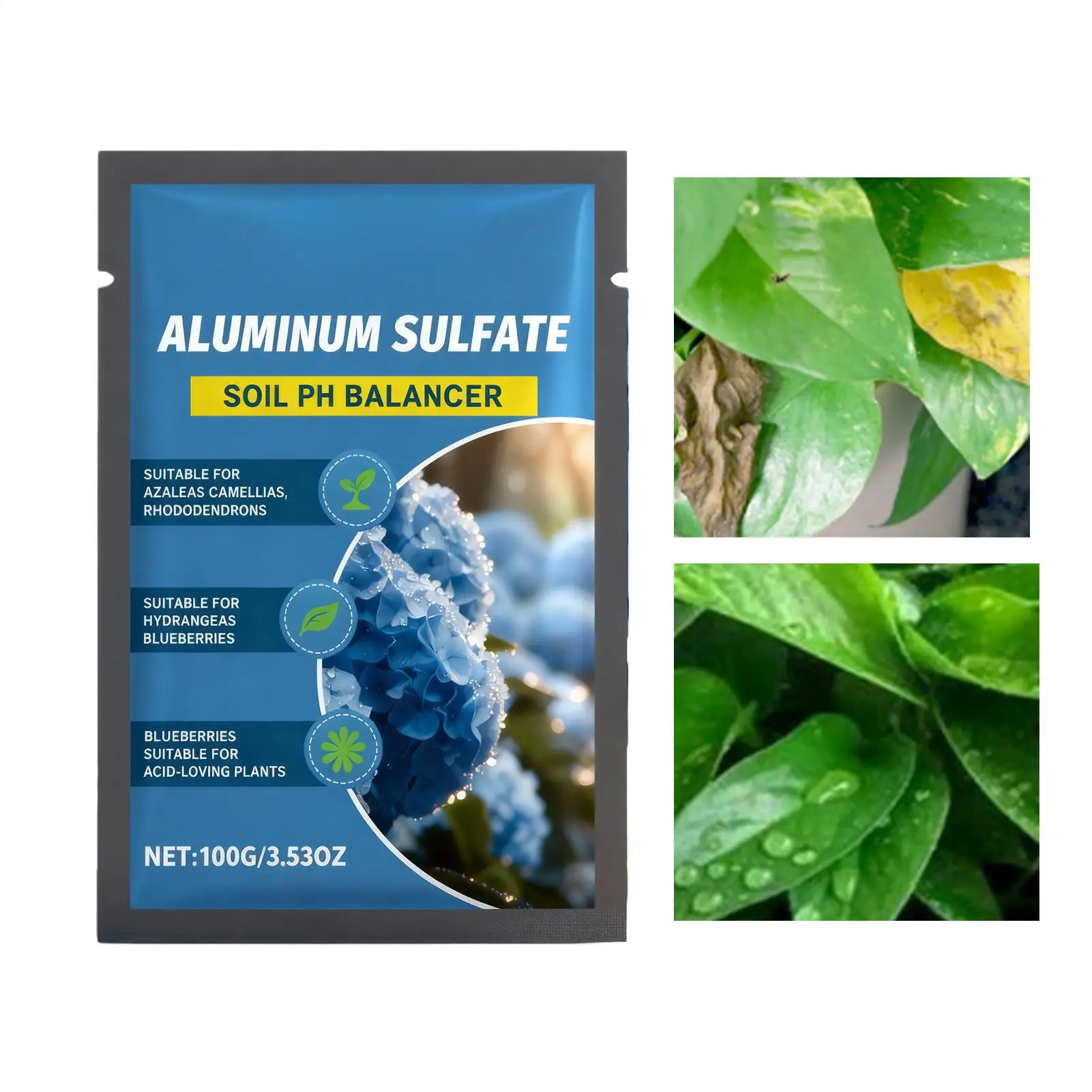 Long-Lasting PH Adjustment Amendments Efficient Soil Acidifier 100g Soil Amendments For Home Garden Outdoor Pond