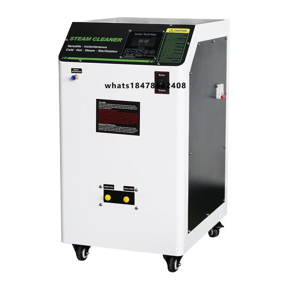 220 Volt Electric High Temperature Steam Cleaner Heavy Oil Cleaning Removal Hot Water Dry and Wet Steam Car Washing Equipment
