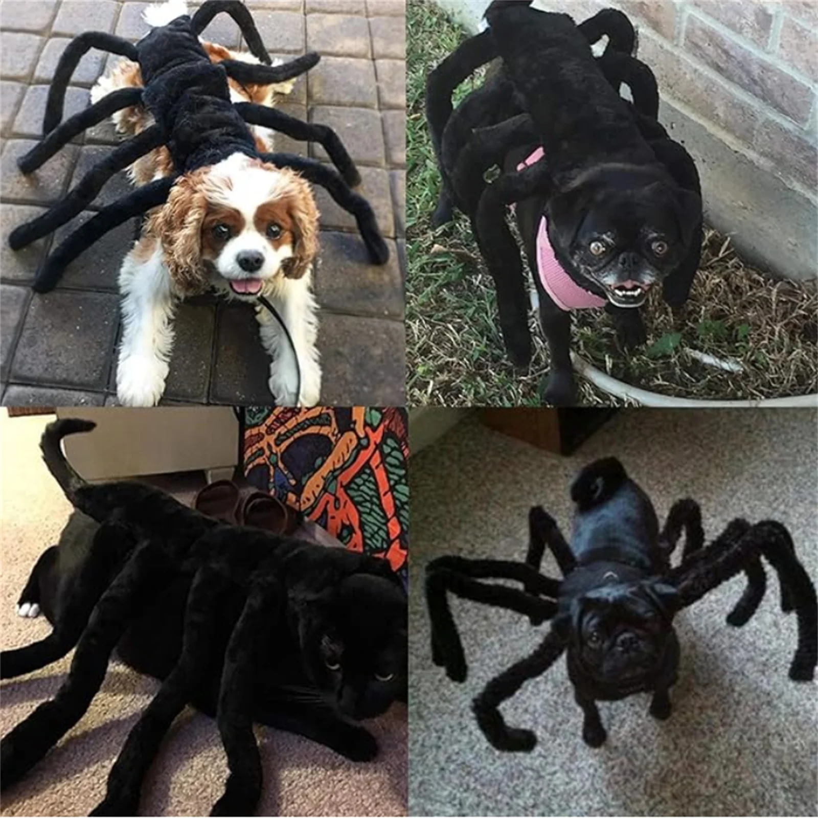 Pet Dog Halloween Spider Costume 8 Spider Wing Cosplay Clothes for Small Medium Dogs Puppy Cat Kitten Outfits Dress up Party